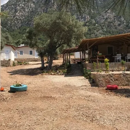 Zeytindali *