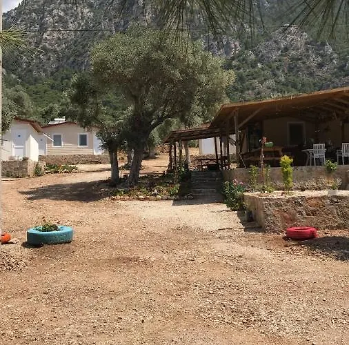 Zeytindali *