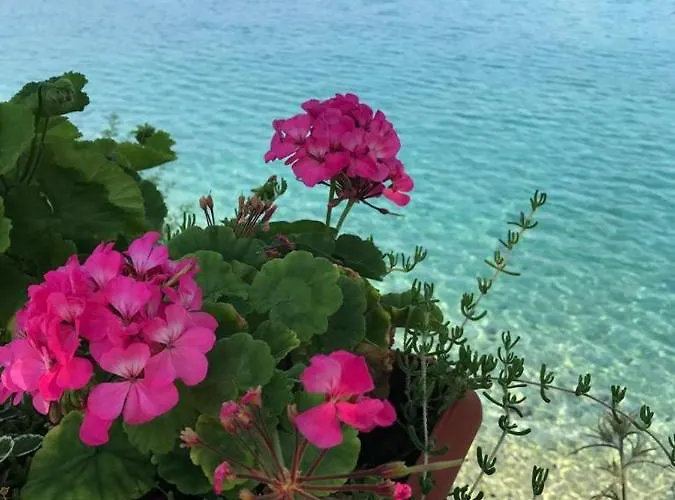 Zeytindali Szálloda *